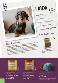 Prowin Prospekt Seite 6