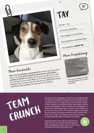 Prowin Prospekt Seite 8