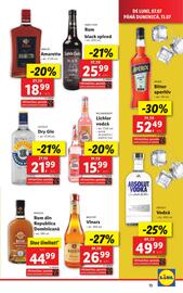Catalog Lidl săptămâna 28 Pagină 13