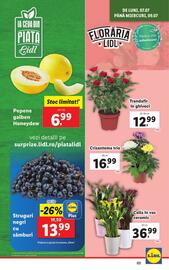Catalog Lidl săptămâna 28 Pagină 3