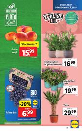 Catalog Lidl săptămâna 28 Pagină 31