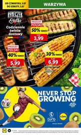 Lidl gazetka Strona 14