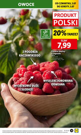 Lidl gazetka Strona 15