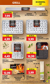 Lidl gazetka Strona 31