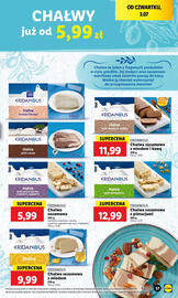 Lidl gazetka Strona 49