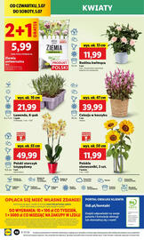 Lidl gazetka Strona 60