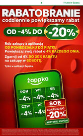 Żabka gazetka Strona 2