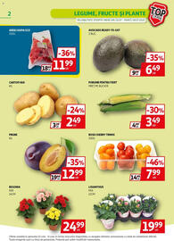 Catalog Auchan Pagină 2