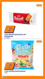 Action Flugblatt woche 27 Seite 30