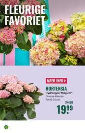 GroenRijk folder week 27 Pagina 10