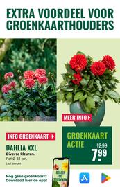 GroenRijk folder week 27 Pagina 19