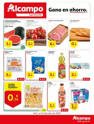 Folleto Alcampo (válido hasta el 14-07)