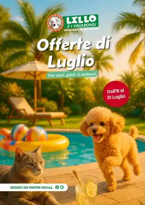 Volantino Lillo e i Vagabondi (valido fino al 31-07)