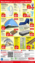 Thomas Philipps Flugblatt woche 28 Seite 8
