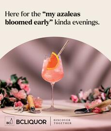 BC Liquor Stores flyer Page 120