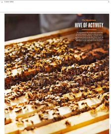 Waitrose leaflet week 27 Page 5