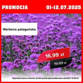 Szarotka gazetka Strona 4