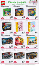 Rossmann DE folder Pagina 17