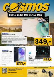 Cosmos Flugblatt Seite 1