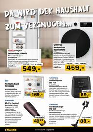 Cosmos Flugblatt Seite 14