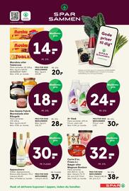 SPAR tilbudsavis uge 27 Side 9