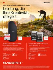 RINGFOTO Flugblatt Seite 11