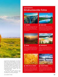 RINGFOTO Flugblatt Seite 31
