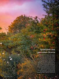 RINGFOTO Flugblatt Seite 5