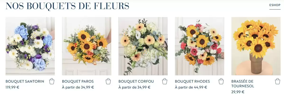 Catalogue Monceau Fleurs (valable jusqu'au 3-08)