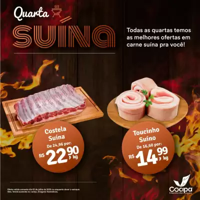 Catálogo Cocipa