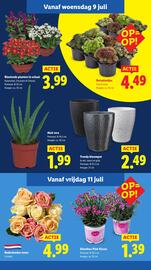 Lidl folder week 28 Pagina 12