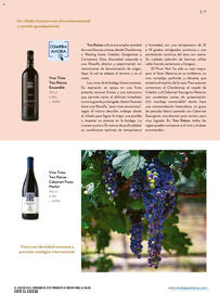 Catálogo Bodegas Alianza Página 19