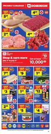 Dominion flyer Page 3