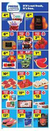 Dominion flyer Page 5