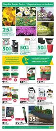 Kent flyer Page 4