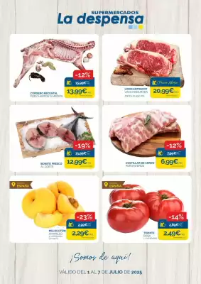 Folleto Supermercados La Despensa (válido hasta el 7-07)