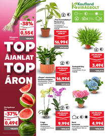 Kaufland SK akciós újság hét 27 Oldal 7