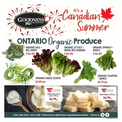 Goodness Me flyer (valid until 8-07)