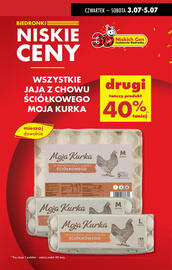 Biedronka gazetka tydzień 27 Strona 15