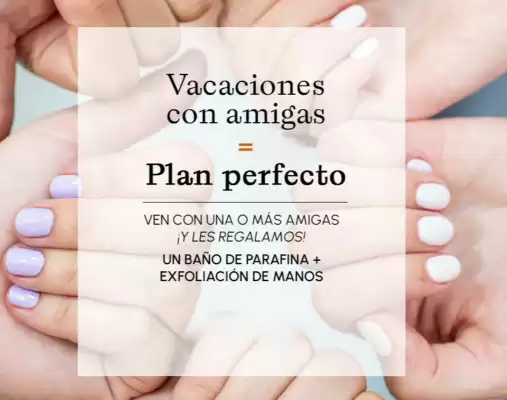 flyer-cover