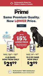 Total Pet flyer Page 8