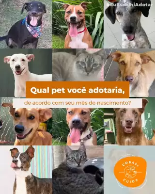 Catálogo Cobasi (válido até 10-07)