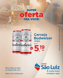 Catálogo Super São Luiz Página 3