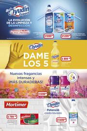 Catálogo Supermercados Buenos Días Página 5
