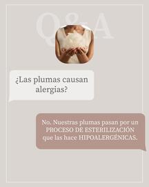 Catálogo Plumas Página 2