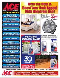 Ace Hardware Weekly Ad Page 1