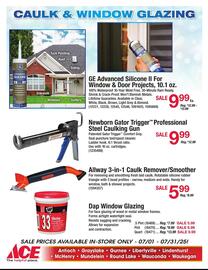 Ace Hardware Weekly Ad Page 10