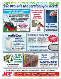 Ace Hardware Weekly Ad Page 13