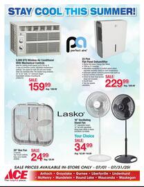 Ace Hardware Weekly Ad Page 2