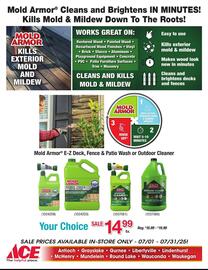 Ace Hardware Weekly Ad Page 3